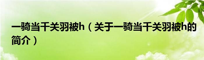 一騎當(dāng)千關(guān)羽被h（關(guān)于一騎當(dāng)千關(guān)羽被h的簡介）