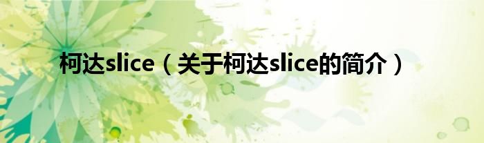 柯達slice（關于柯達slice的簡介）