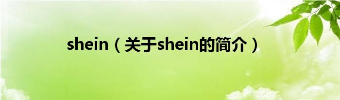 shein（關(guān)于shein的簡(jiǎn)介）