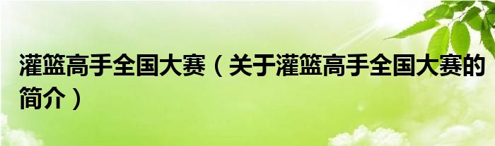 灌籃高手全國大賽（關(guān)于灌籃高手全國大賽的簡介）