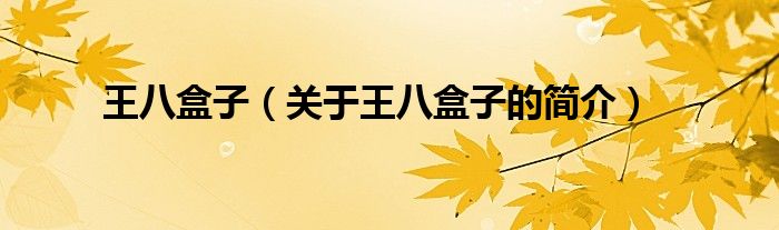 王八盒子（關(guān)于王八盒子的簡(jiǎn)介）