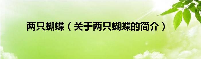 兩只蝴蝶（關(guān)于兩只蝴蝶的簡(jiǎn)介）