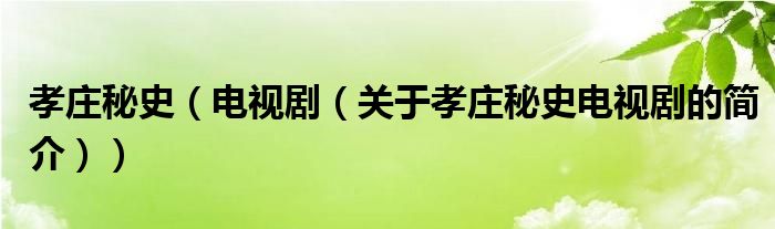 孝莊秘史（電視?。P(guān)于孝莊秘史電視劇的簡(jiǎn)介））