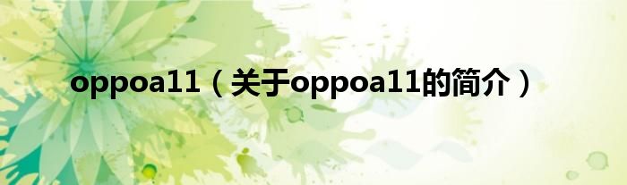 oppoa11（關(guān)于oppoa11的簡(jiǎn)介）