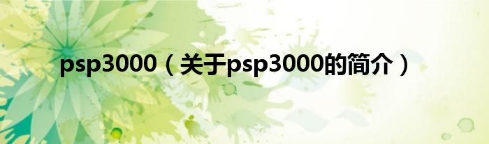 psp3000（關于psp3000的簡介）