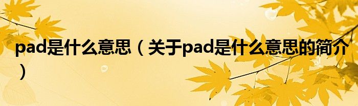 pad是什么意思（關于pad是什么意思的簡介）