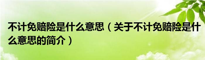 不計(jì)免賠險(xiǎn)是什么意思（關(guān)于不計(jì)免賠險(xiǎn)是什么意思的簡介）