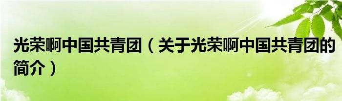 光榮啊中國共青團（關(guān)于光榮啊中國共青團的簡介）