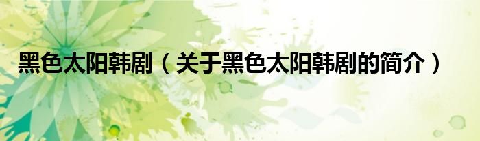 黑色太陽韓?。P(guān)于黑色太陽韓劇的簡介）