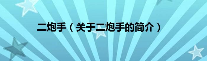 二炮手（關(guān)于二炮手的簡(jiǎn)介）
