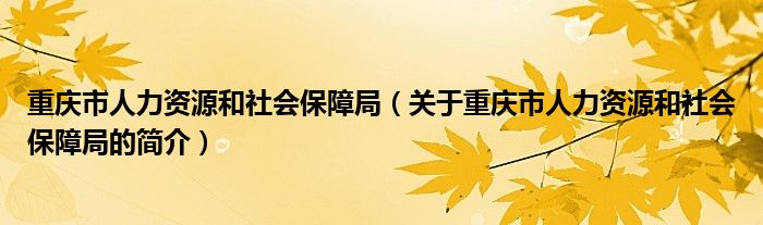 重慶市人力資源和社會(huì)保障局（關(guān)于重慶市人力資源和社會(huì)保障局的簡(jiǎn)介）