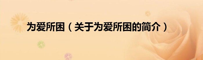 為愛所困（關(guān)于為愛所困的簡(jiǎn)介）