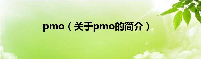 pmo（關(guān)于pmo的簡介）