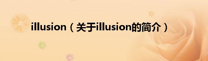 illusion（關(guān)于illusion的簡(jiǎn)介）