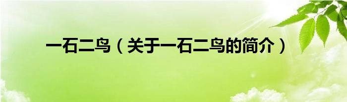 一石二鳥（關(guān)于一石二鳥的簡介）