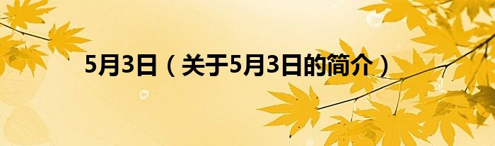 5月3日（關(guān)于5月3日的簡介）