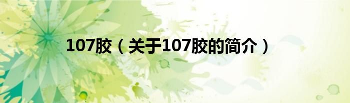 107膠（關(guān)于107膠的簡介）