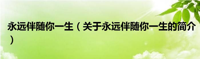 永遠(yuǎn)伴隨你一生（關(guān)于永遠(yuǎn)伴隨你一生的簡介）