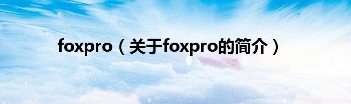 foxpro（關于foxpro的簡介）