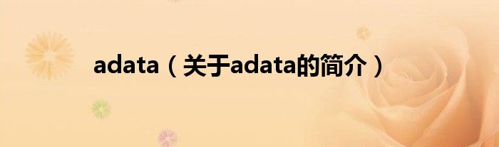 adata（關(guān)于adata的簡(jiǎn)介）