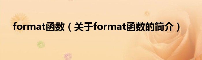 format函數(shù)（關(guān)于format函數(shù)的簡介）