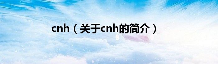 cnh（關(guān)于cnh的簡介）