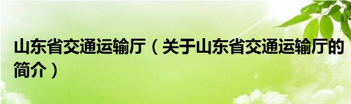 山東省交通運(yùn)輸廳（關(guān)于山東省交通運(yùn)輸廳的簡介）