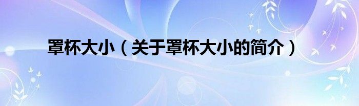 罩杯大小（關于罩杯大小的簡介）