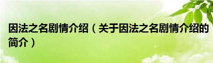 因法之名劇情介紹（關(guān)于因法之名劇情介紹的簡(jiǎn)介）