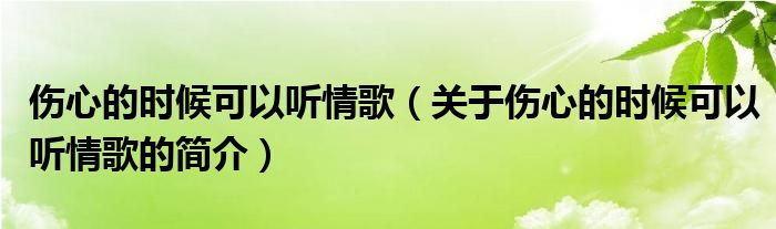 傷心的時(shí)候可以聽情歌（關(guān)于傷心的時(shí)候可以聽情歌的簡介）