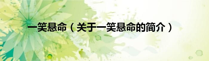 一笑懸命（關(guān)于一笑懸命的簡(jiǎn)介）