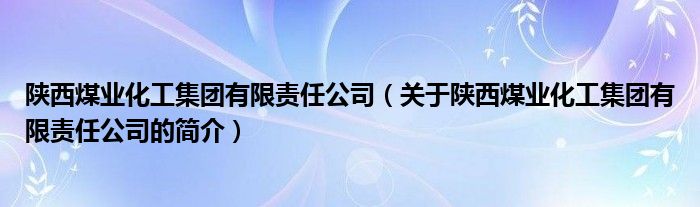 陜西煤業(yè)化工集團(tuán)有限責(zé)任公司（關(guān)于陜西煤業(yè)化工集團(tuán)有限責(zé)任公司的簡(jiǎn)介）