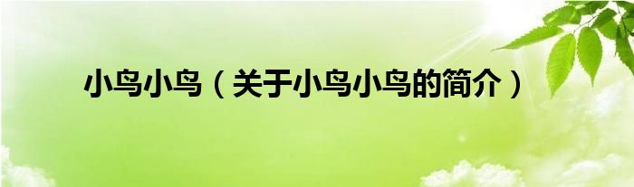 小鳥(niǎo)小鳥(niǎo)（關(guān)于小鳥(niǎo)小鳥(niǎo)的簡(jiǎn)介）