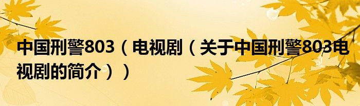 中國刑警803（電視?。P(guān)于中國刑警803電視劇的簡介））