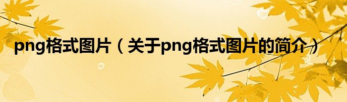 png格式圖片（關(guān)于png格式圖片的簡介）