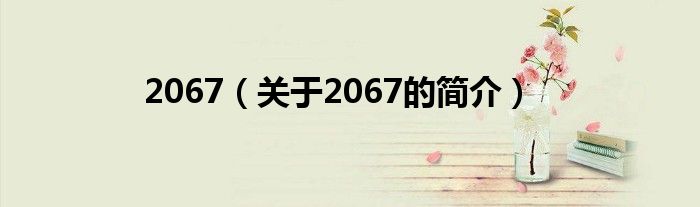 2067（關于2067的簡介）