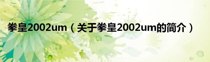 拳皇2002um（關(guān)于拳皇2002um的簡介）