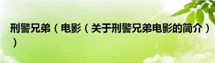 刑警兄弟（電影（關(guān)于刑警兄弟電影的簡介））