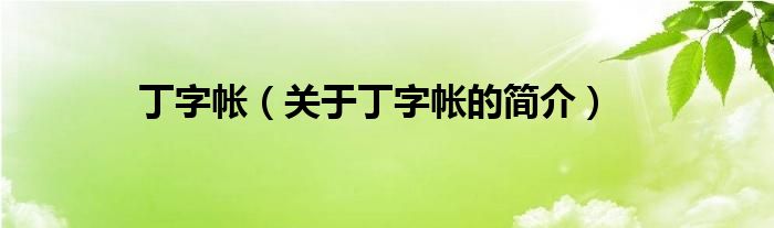 丁字帳（關(guān)于丁字帳的簡介）