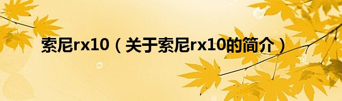 索尼rx10（關(guān)于索尼rx10的簡介）