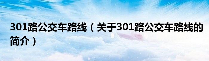 301路公交車(chē)路線（關(guān)于301路公交車(chē)路線的簡(jiǎn)介）