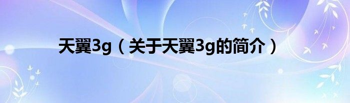 天翼3g（關(guān)于天翼3g的簡介）