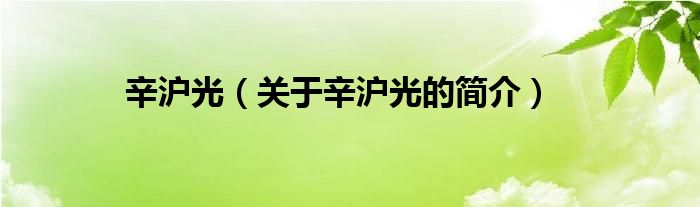 辛滬光（關(guān)于辛滬光的簡(jiǎn)介）