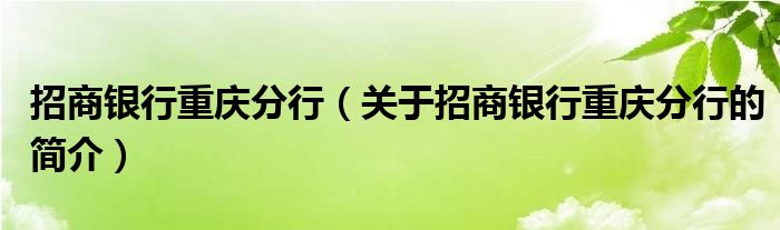 招商銀行重慶分行（關于招商銀行重慶分行的簡介）