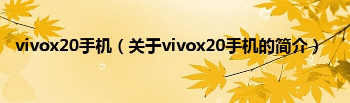 vivox20手機(jī)（關(guān)于vivox20手機(jī)的簡介）