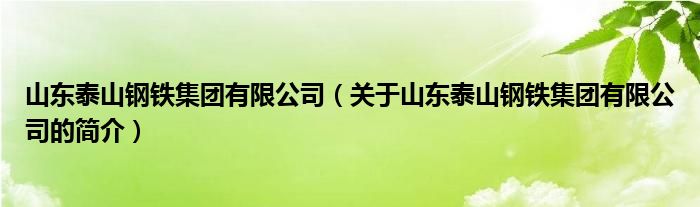 山東泰山鋼鐵集團有限公司（關于山東泰山鋼鐵集團有限公司的簡介）