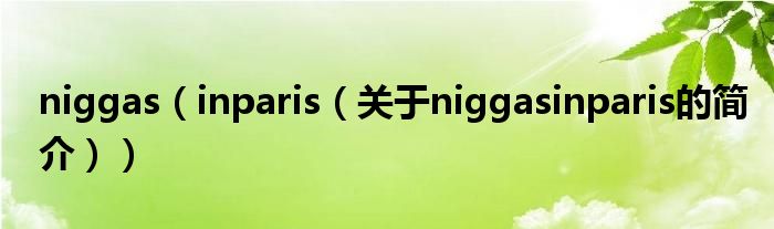 niggas（inparis（關于niggasinparis的簡介））