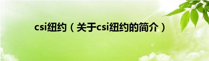 csi紐約（關(guān)于csi紐約的簡(jiǎn)介）