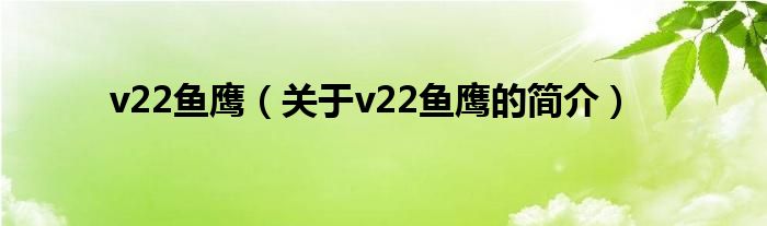 v22魚(yú)鷹（關(guān)于v22魚(yú)鷹的簡(jiǎn)介）