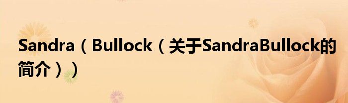 Sandra（Bullock（關(guān)于SandraBullock的簡(jiǎn)介））